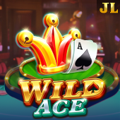 Wild Ace on gameloop download app casino